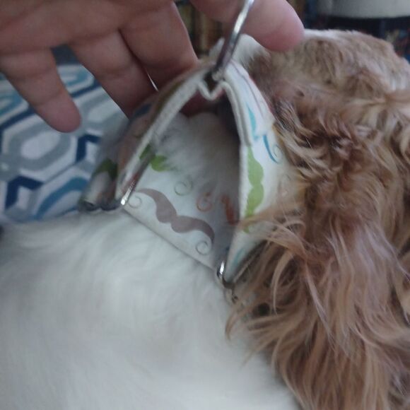 Halloween set of 3 L-XL Dog/Animal Collar Handmade - Picture 4 of 7